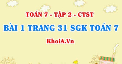 Bài 1 trang 31 SGK Toán 7 tập 2 Chân trời sáng tạo